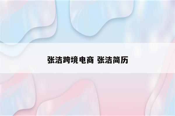 张洁跨境电商 张洁简历