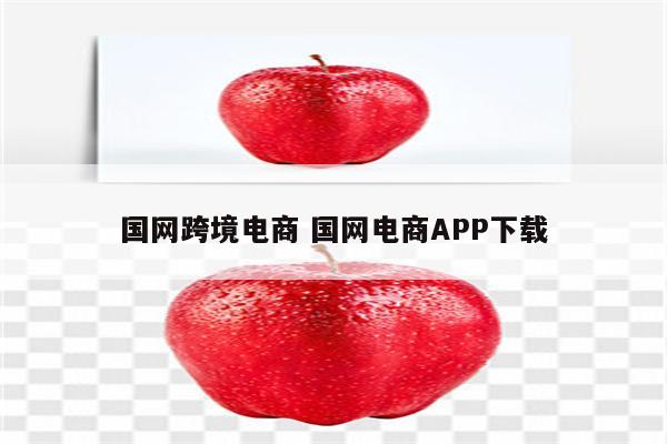 国网跨境电商 国网电商APP下载