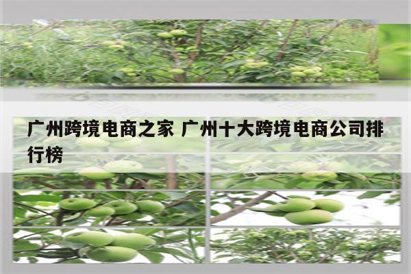 广州跨境电商之家 广州十大跨境电商公司排行榜