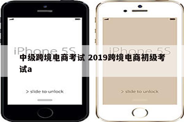 中级跨境电商考试 2019跨境电商初级考试a