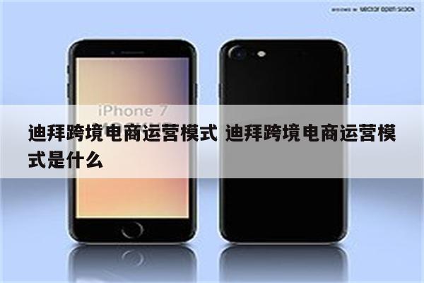 迪拜跨境电商运营模式 迪拜跨境电商运营模式是什么
