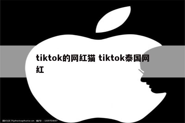 tiktok的网红猫 tiktok泰国网红