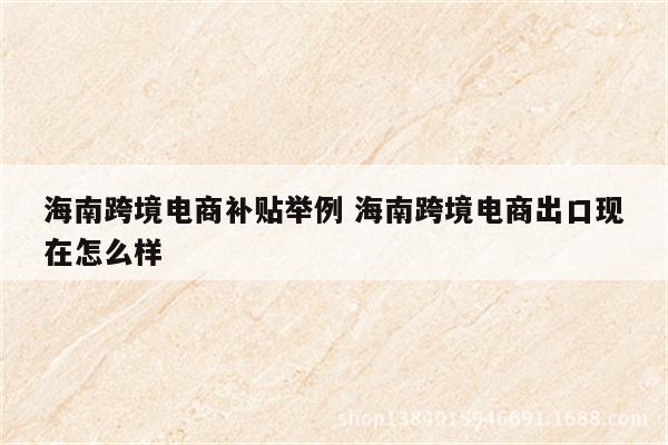 海南跨境电商补贴举例 海南跨境电商出口现在怎么样