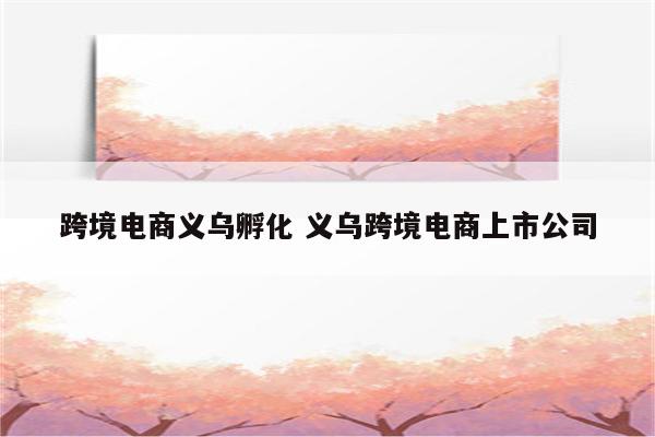 跨境电商义乌孵化 义乌跨境电商上市公司