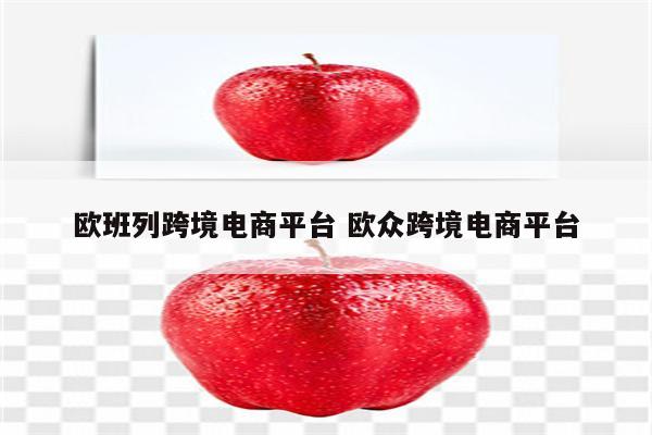 欧班列跨境电商平台 欧众跨境电商平台