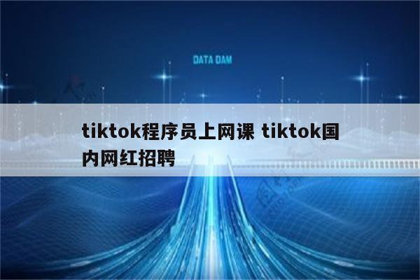 tiktok程序员上网课 tiktok国内网红招聘