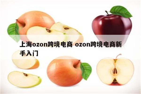 上海ozon跨境电商 ozon跨境电商新手入门