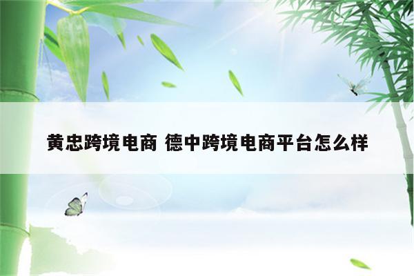 黄忠跨境电商 德中跨境电商平台怎么样