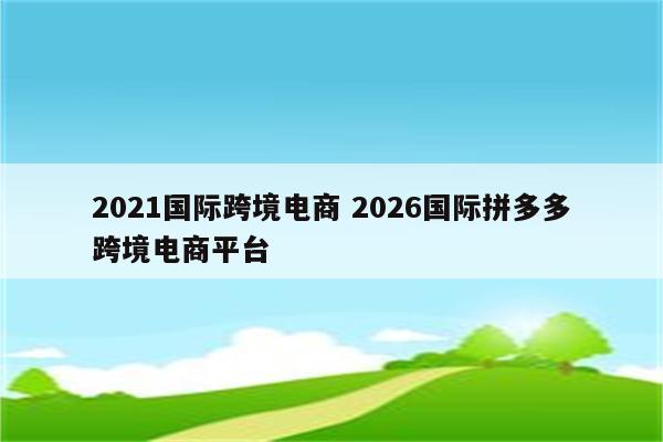 2021国际跨境电商 2026国际拼多多跨境电商平台