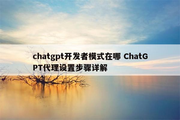 chatgpt开发者模式在哪 ChatGPT代理设置步骤详解