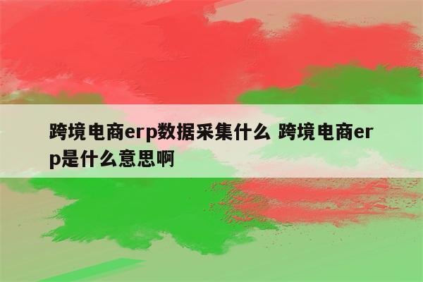 跨境电商erp数据采集什么 跨境电商erp是什么意思啊