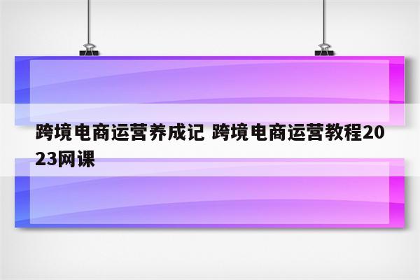 跨境电商运营养成记 跨境电商运营教程2023网课