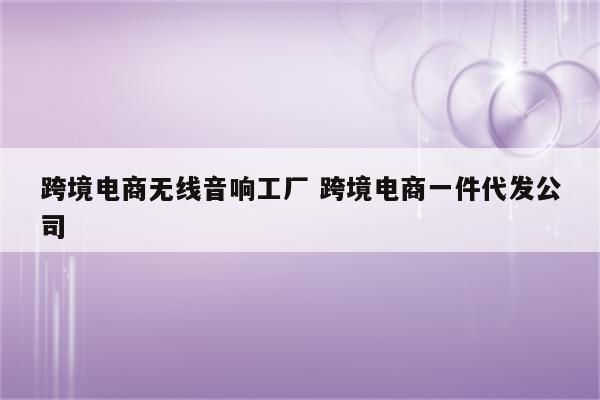 跨境电商无线音响工厂 跨境电商一件代发公司