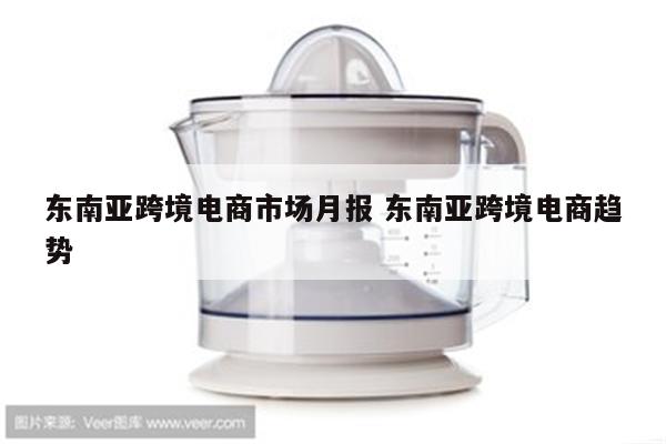 东南亚跨境电商市场月报 东南亚跨境电商趋势