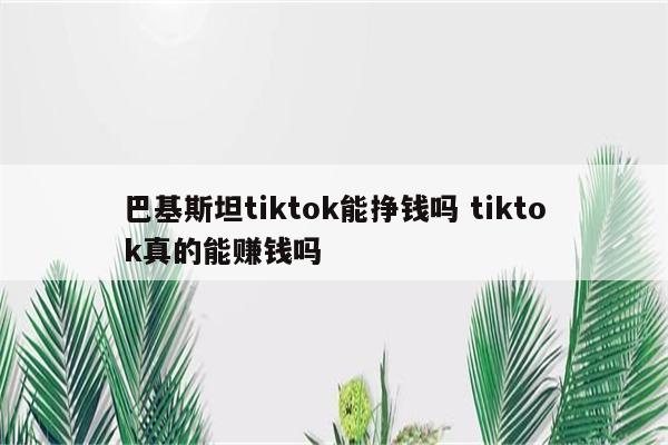 巴基斯坦tiktok能挣钱吗 tiktok真的能赚钱吗