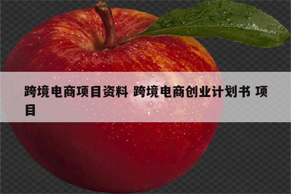 跨境电商项目资料 跨境电商创业计划书 项目