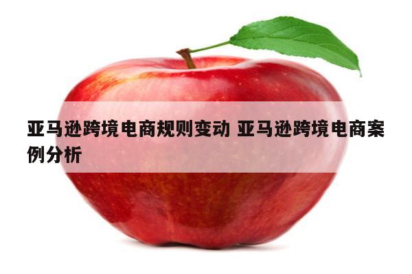 亚马逊跨境电商规则变动 亚马逊跨境电商案例分析