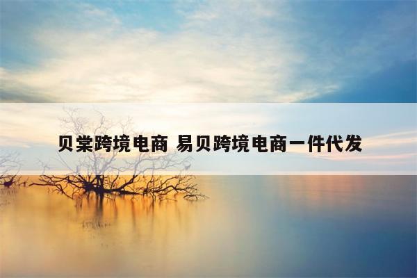 贝棠跨境电商 易贝跨境电商一件代发