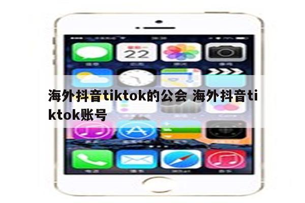 海外抖音tiktok的公会 海外抖音tiktok账号