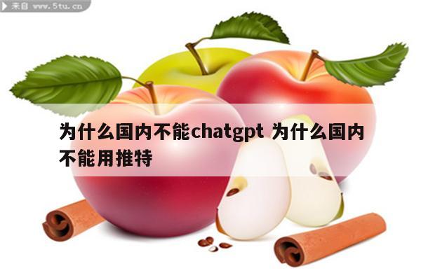 为什么国内不能chatgpt 为什么国内不能用推特