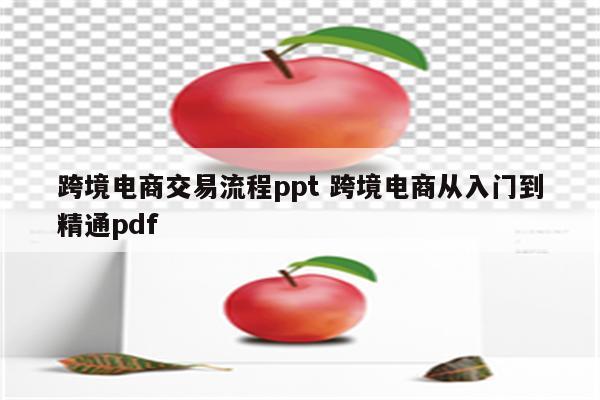 跨境电商交易流程ppt 跨境电商从入门到精通pdf