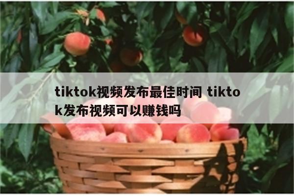 tiktok视频发布最佳时间 tiktok发布视频可以赚钱吗