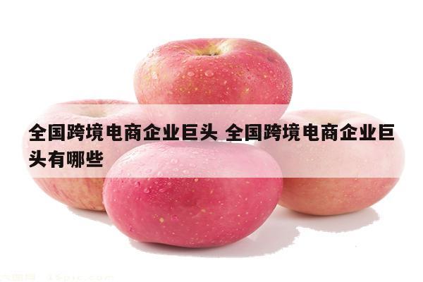 全国跨境电商企业巨头 全国跨境电商企业巨头有哪些