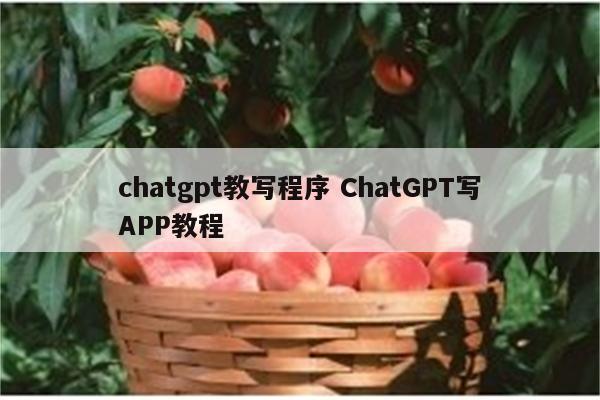chatgpt教写程序 ChatGPT写APP教程