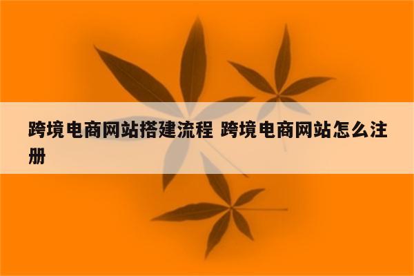 跨境电商网站搭建流程 跨境电商网站怎么注册
