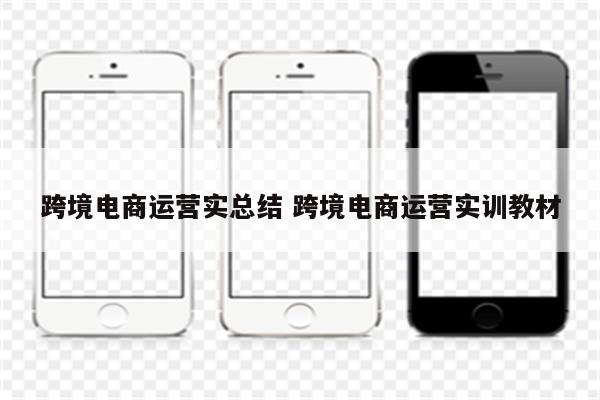 跨境电商运营实总结 跨境电商运营实训教材