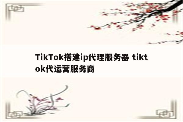 TikTok搭建ip代理服务器 tiktok代运营服务商
