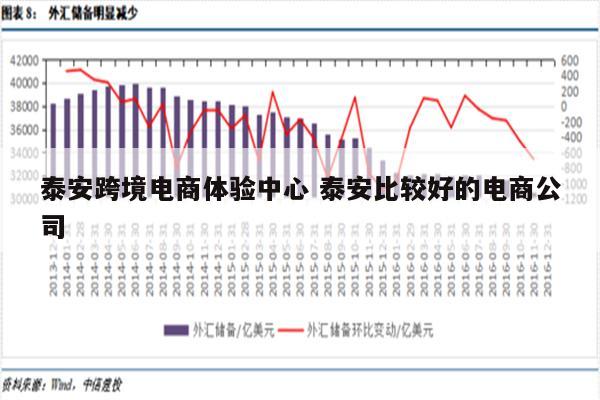 泰安跨境电商体验中心 泰安比较好的电商公司