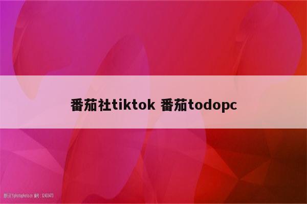 番茄社tiktok 番茄todopc