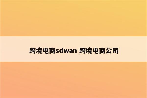 跨境电商sdwan 跨境电商公司
