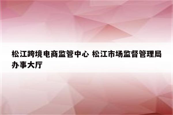 松江跨境电商监管中心 松江市场监督管理局办事大厅