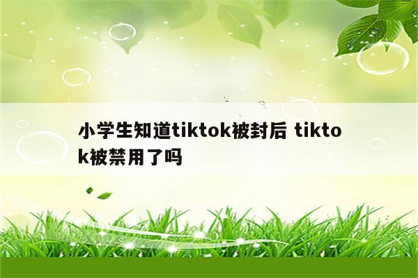 小学生知道tiktok被封后 tiktok被禁用了吗