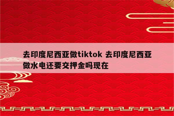 去印度尼西亚做tiktok 去印度尼西亚做水电还要交押金吗现在