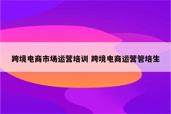 跨境电商市场运营培训 跨境电商运营管培生