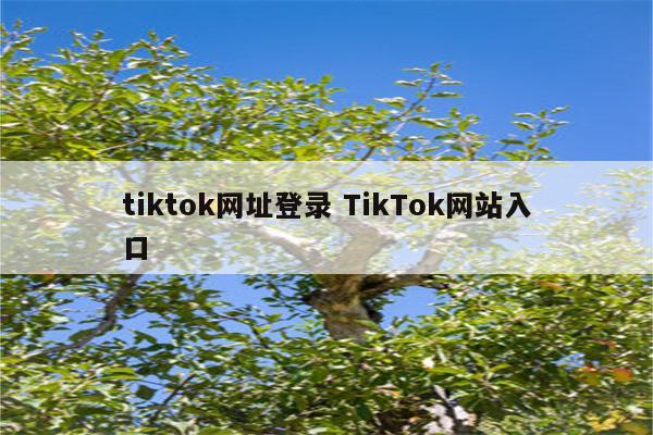 tiktok网址登录 TikTok网站入口