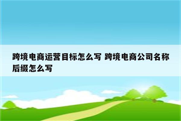 跨境电商运营目标怎么写 跨境电商公司名称后缀怎么写