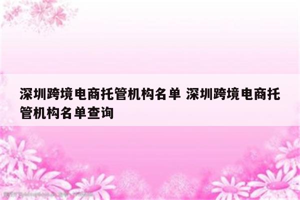 深圳跨境电商托管机构名单 深圳跨境电商托管机构名单查询