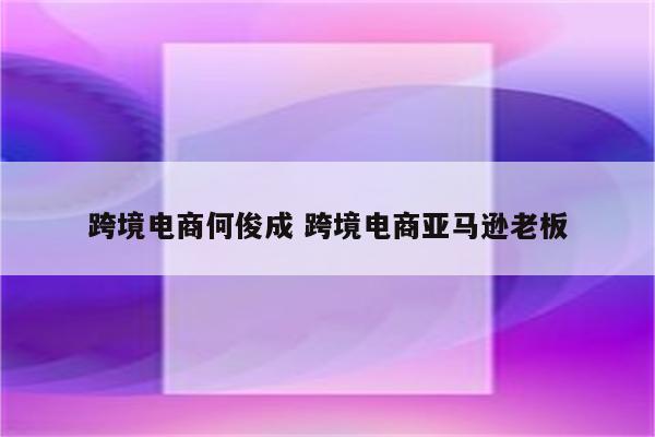 跨境电商何俊成 跨境电商亚马逊老板