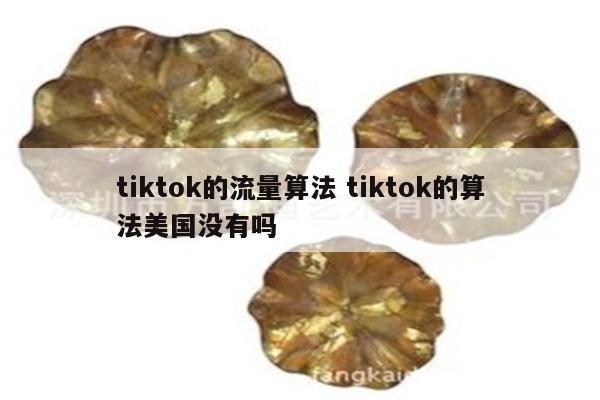 tiktok的流量算法 tiktok的算法美国没有吗