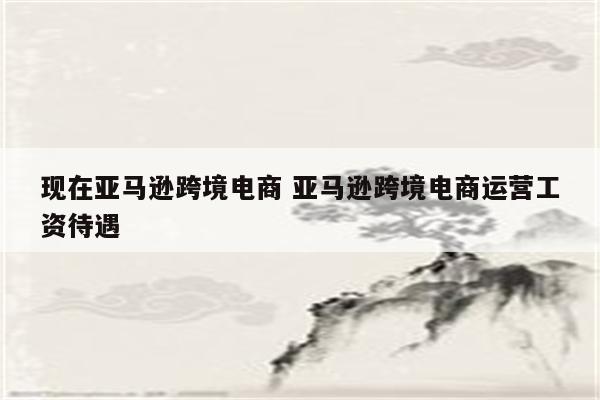 现在亚马逊跨境电商 亚马逊跨境电商运营工资待遇