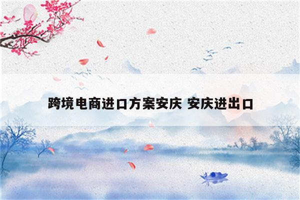跨境电商进口方案安庆 安庆进出口