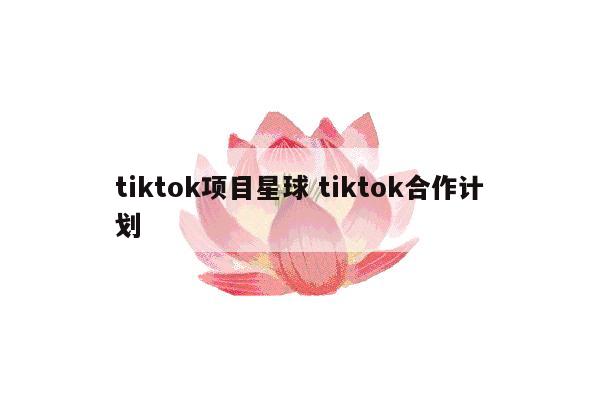 tiktok项目星球 tiktok合作计划