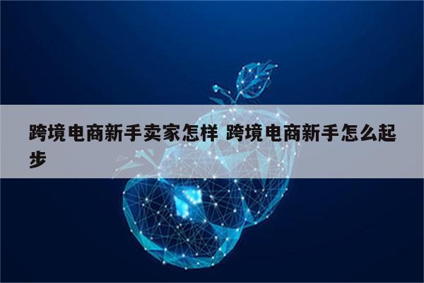 跨境电商新手卖家怎样 跨境电商新手怎么起步