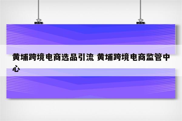 黄埔跨境电商选品引流 黄埔跨境电商监管中心