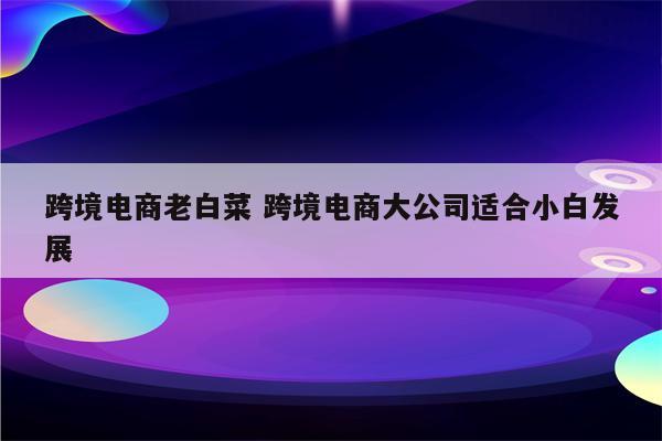 跨境电商老白菜 跨境电商大公司适合小白发展