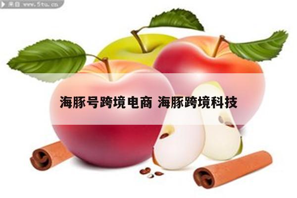 海豚号跨境电商 海豚跨境科技